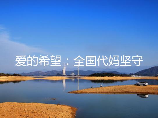 爱的希望:全国代妈坚守与付出